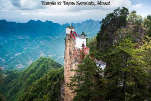 Obrázek č. 1332059