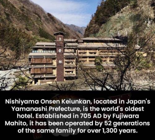 Obrázek č. 1335804