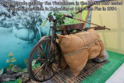 Obrázek č. 1335807