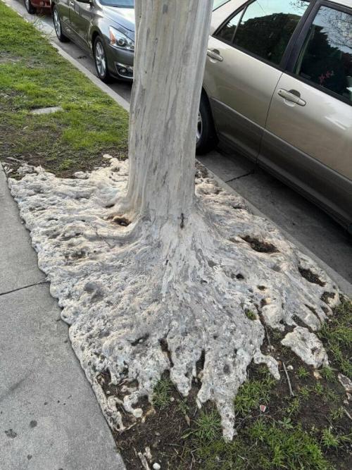 Obrázek č. 1335805