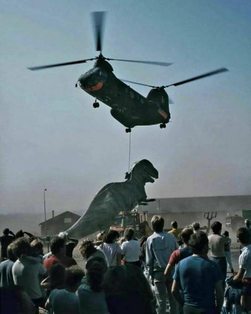 Obrázek č. 1335800