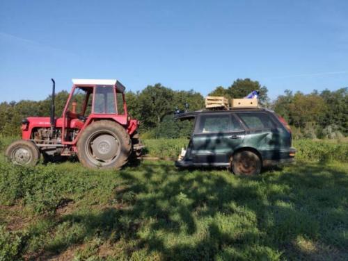 Obrázek č. 1341013