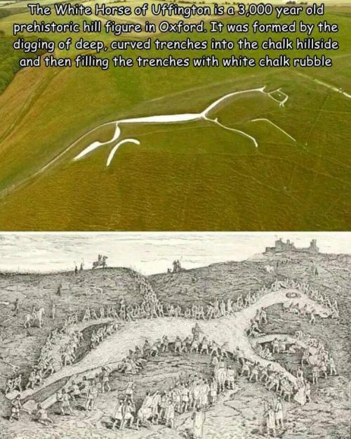 Obrázek č. 1343978