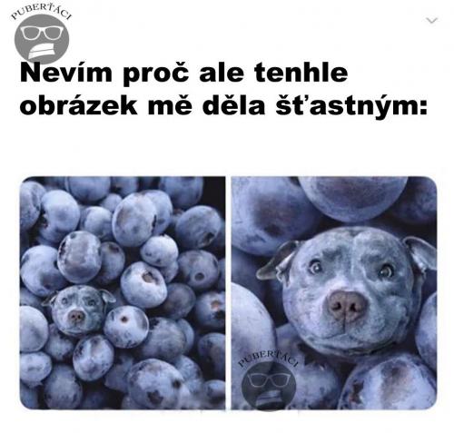 Neívm