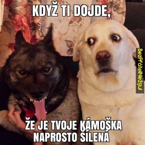  Kámoška 