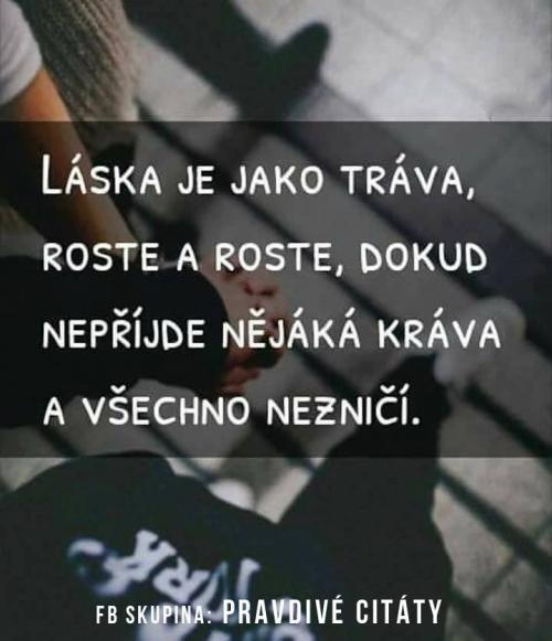  Láska 