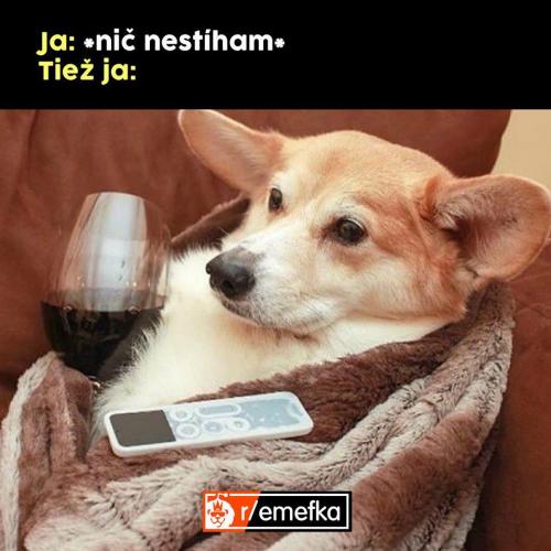 Nestíhám