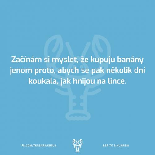 Začínám