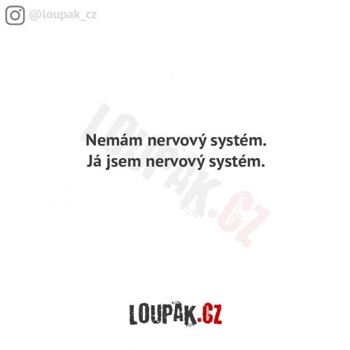 Nervový systín