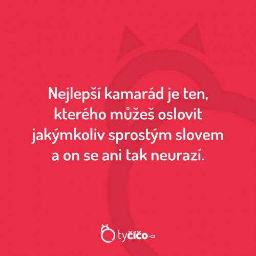  Nejlepší kamarád 