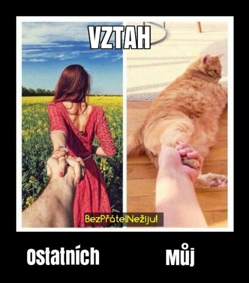  Vztah 