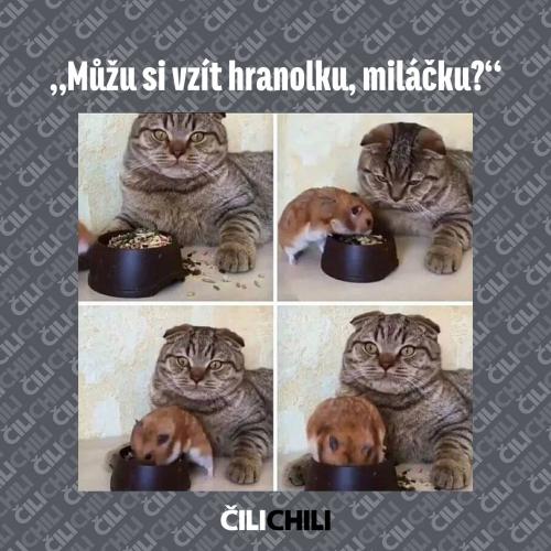 Miláčku
