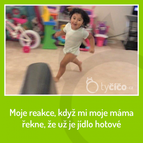  Moje rekace 