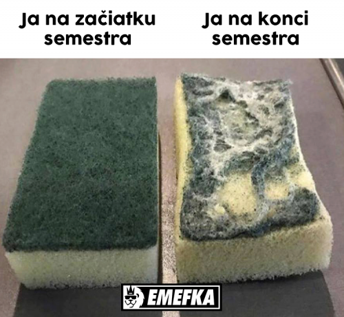  Učení 