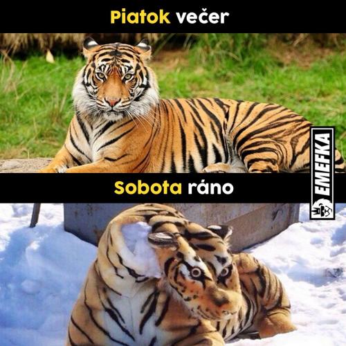  Pátek 