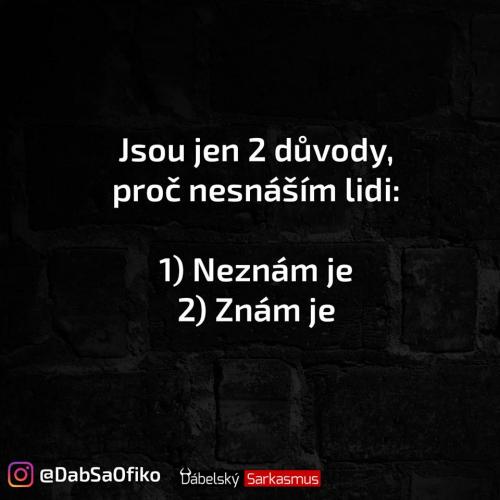 Nesnáším