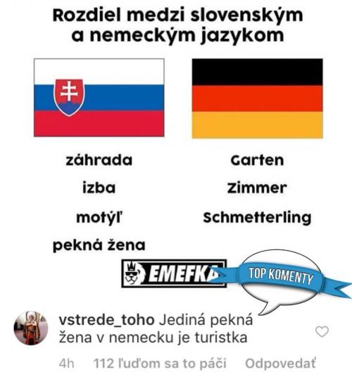  Slovenský a německý jazyk 