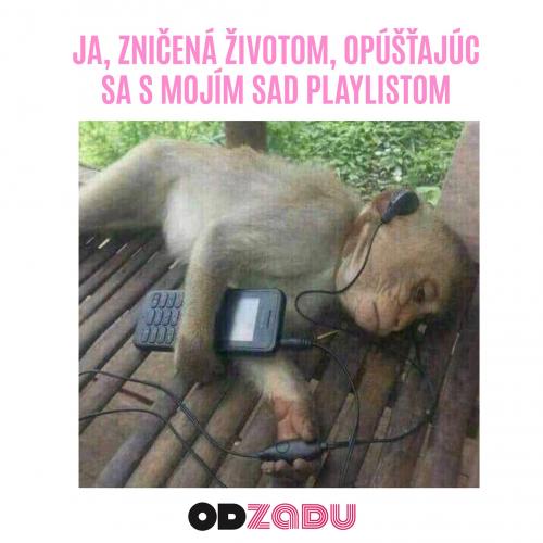 Playlist