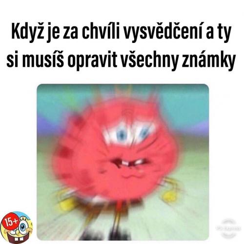  Vysvědčení 