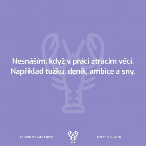 nesnáším