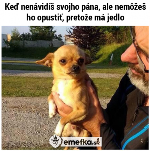  Nenávist 