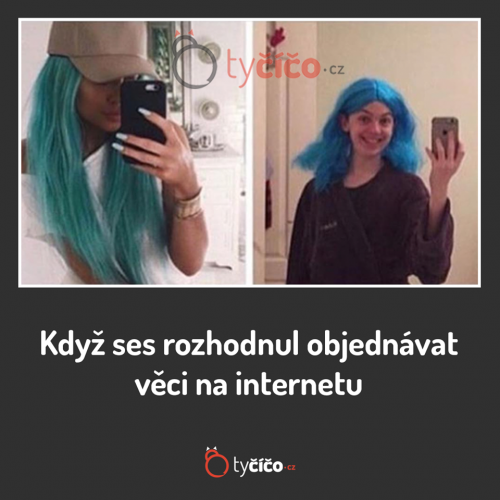  Rozhodnutí 