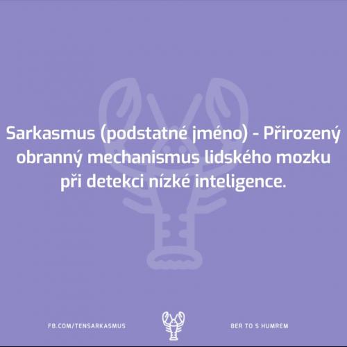  Sarkasmus 