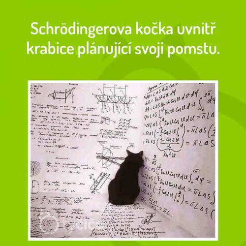 Plánuje svoji pomstu