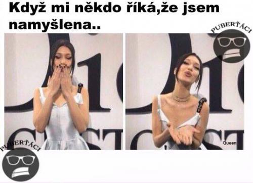 Namyšlená