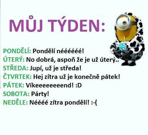 Týden