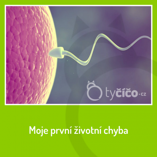  Životní chyba 