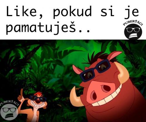 Pamatuješ