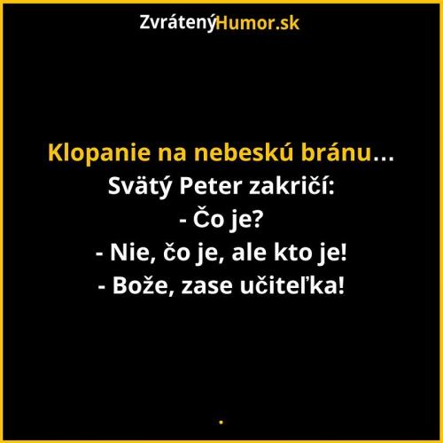  Učitelka 