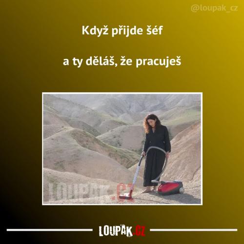  Práce 