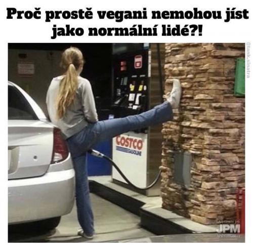  Vegan 