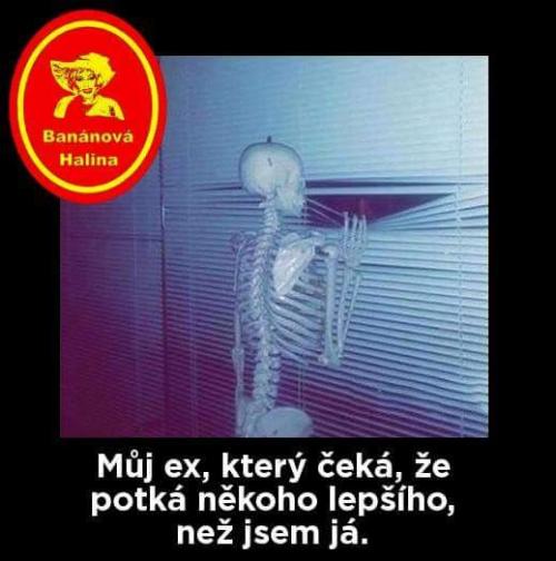 Můj ex