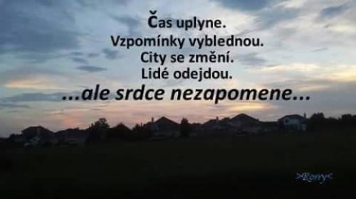  Srdce 