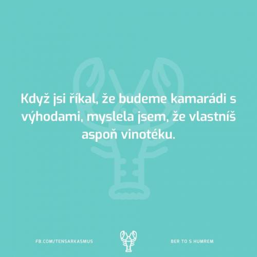  Kamarádi 