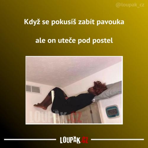  Ne vždy se to podaří 