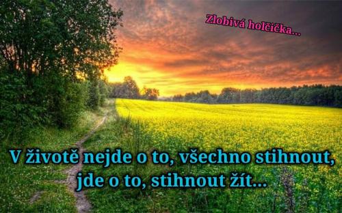 Život