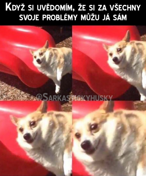  Bohužel je to tak 