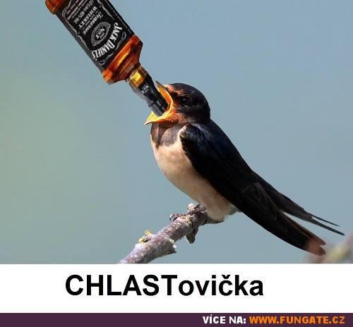 Chlastovička