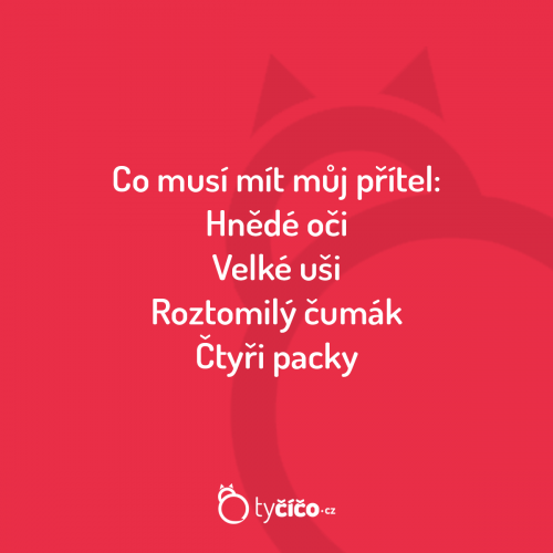  Přítel 