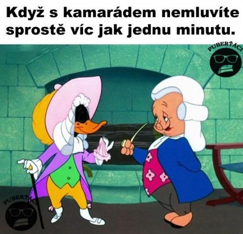 Kamarádit