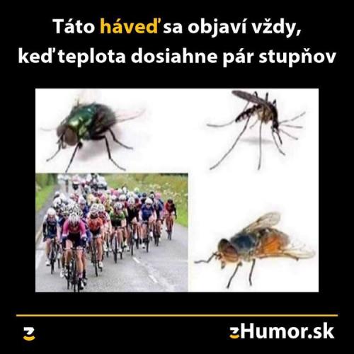  Havěť 