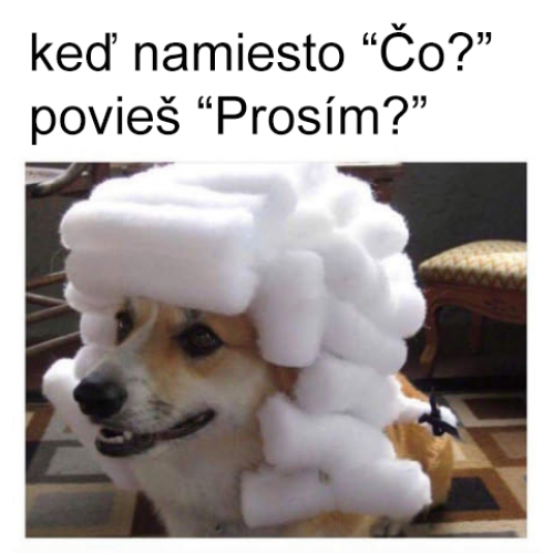  Prosím 