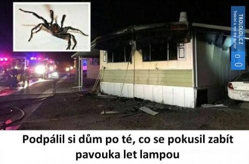  Pavouk 