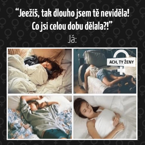 Co jsi dělala