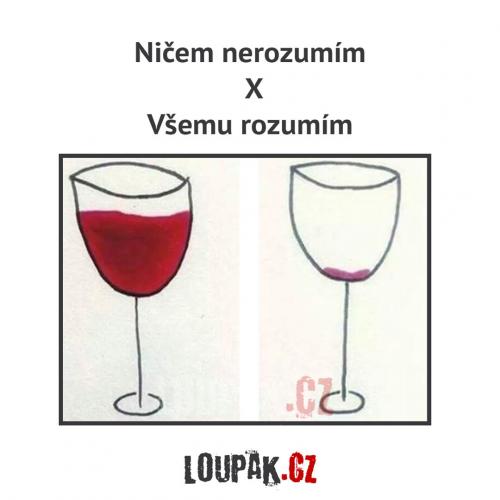 Nerozumím