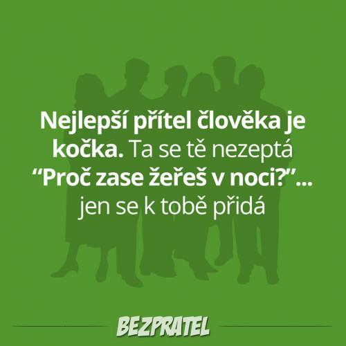  Kočka 